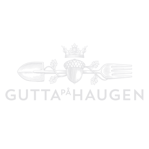 Gutta på Haugen AS