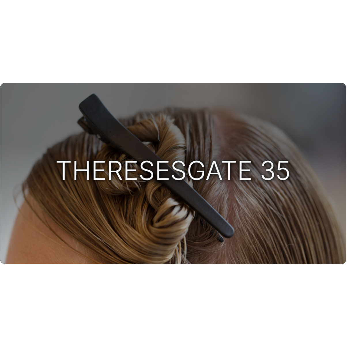 Theresesgate 35